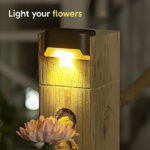 Light your flowers with Solar Dock Lights